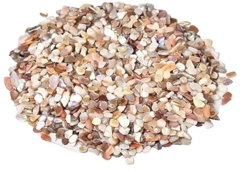 500g Conchiglie frantumate Frammenti di conchiglie naturali irregolari Decorazione della casa Artigianato d'arte Fai da te for acquario, vaso di fiori, paesaggistica, riempitivi for vasi e decorazione