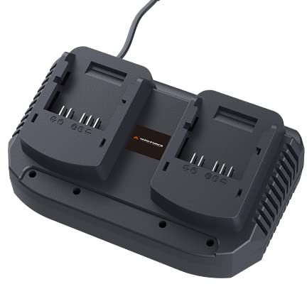 PERUN Dual Lithium-Ionen Ladegerät mit LED AL C20D, für Alle Yard Force & PowerG 20V 2,0, 2,5Ah, 4,0 Ah kompatibel, Dabei sind die Akkus jederzeit aufladbar, Schnellladetechnologie