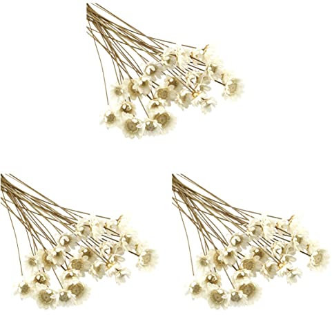 LIFKOME 90 Stück Blumen Weiß Konservierte Kamille Zarte Fotografie Eleganter Blumenstrauß Getrocknete Hochzeit Mini-Gänseblümchen- für zu Hause Ewig für Trocken Tragbare DIY
