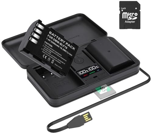 2 pcs DMW-BLF19E/DMW-BLF19 Ersatz Akku mit LCD Ladegerät Kompatibel für Panasonic Lumix DMC-GH3,DMC-GH3GK,DMC-GH3H,DMC-GH3HGK,DMC-GH3K Body,DMC-GH4H,DMC-GH4, DMW-BLF19PP Kamera