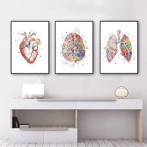 Anatomie Poster 3er-Set,Herz Gehirn Menschliche Anatomie Leinwand Krankenhaus Klinik Wandkunst Poster Medizin Wand Bilder-ohne Rahmen (A,40x60cm*3)