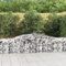 LAPOOH Gabionen mit Hochbogen 9 STK Gabionenkörbe, Gabionen Hochbeet, Steinkorb, Gabionengitter, Drahtkorb Für Pflanzen, Kräuterspirale Für Garten, 400x50x60/80cm Verzinktes Eisen