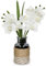 Arborus Fake Orchid with Boho Glass Vase 29cm White Orchid Artificial Flowers in Woven Black Glass Vase Faux Phalaenopsis Orchids for Wedding Tables Centerpieces Farmhouse Bathroom Shelf Home Decor