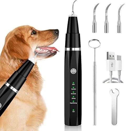 Zahnsteinentferner Zahnreiniger Ultraschall für Hund und Katze, Zahnpflege Set für Hunde & Katzen, Zahnreinigung und Reinigungsset Bekämpft Zahnstein Mundgeruch & Zahnfleischentzündungen, Schwarz