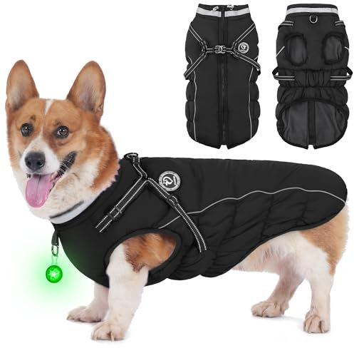 HezzLuv Hundemantel Winter, Hundemantel Wasserdicht, Warme Hundejacke mit Geschirr, Reflektierende Streifen, LED-Leuchtkragen, Wintermäntel für Hunde
