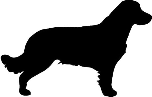 Samunshi® Golden Retriever Hunde Aufkleber Autoaufkleber Sticker in 6 Größen und 25 Farben (15x9,5cm schwarz)