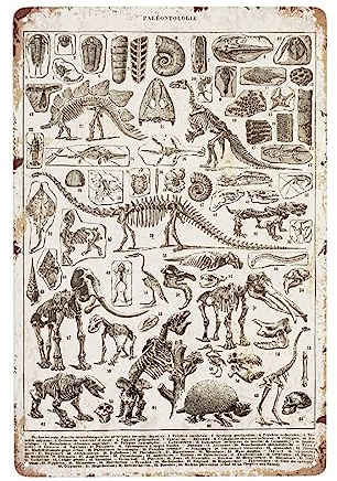 JOCASA Dinosaurier-Fossilien Vintage Metall Poster Schild Dekor-Retro Aluminium Metall Blechschild für Home Wall Decor, Büro, Schlafzimmer, Schilder, Geschenk, 30,5 x 20,3 cm
