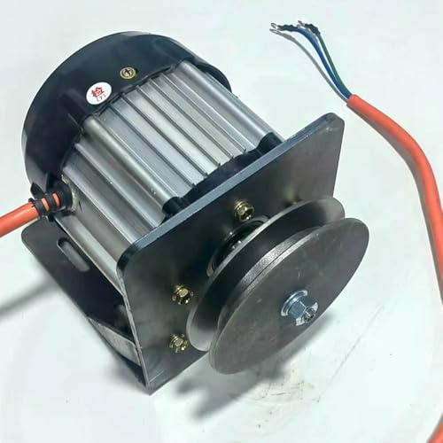 LeTkingok Generador sin Escobillas de Imán Permanente de 3000 W, Alternador de Baja Velocidad de 12-220 V CC/CA con Cable de Cobre Puro (96V)