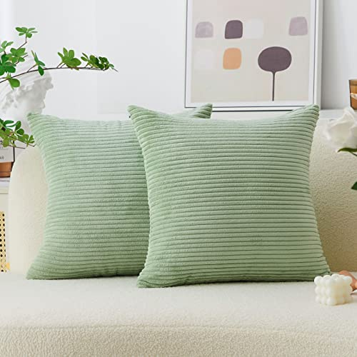 Home Brilliant 65 x 65 kuddöverdrag supermjuk salvia grön kuddöverdrag för soffkuddar fyrkantiga prydnadskuddar kuddöverdrag dekorationer, 65 cm, 2 st, salviagröna