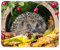 Entzückende Igel Mauspad Pad - Garten-Tier-Mama Tante Spaß Computer # 13045