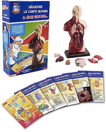 Entdecken Sie den menschlichen Körper mit Hello Maestro – Once Upon a Life