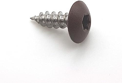 Vis pour penture 6x20 mm couleur rouille mars D2525 Inox A2 par 50