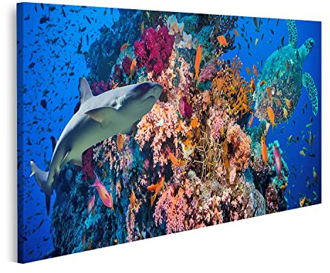 islandburner Prime Bild auf Leinwand riff Unterwasser Tier Aquarium Wasser blau karibisch bunt Koralle tief Bilder Wandbilder Poster