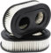 2 Stück Rasenmäher Luftfilter, Luftfilter Filterpatrone Für Briggs & Stratton 798452 593260 Luftfilter