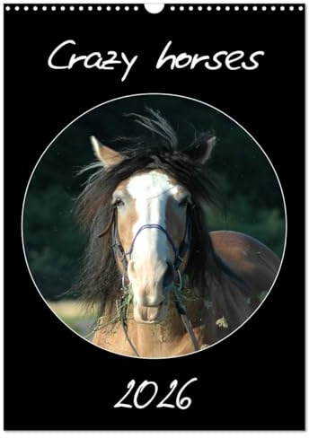 Crazy horses (Wandkalender 2026 DIN A3 hoch), CALVENDO Monatskalender: Pferde von ihrer komischen Seite (CALVENDO Tiere)