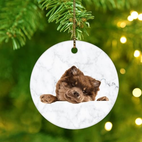Innish Lapphund Weihnachtsschmuck, Keramik, rund, für Weihnachtsbaum, Dekoration, Anhänger, Kugel, Haustier, Hund, Andenken, Winter-Andenken, Neujahrs-Souvenir