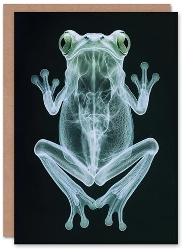 Artery8 Greeting Card Frog Teal Green Dark Luminescent Xray Effect Blank For Him Or Her Art Birthday Card