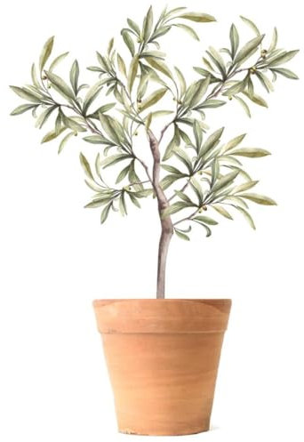 Olive Tree Sticker 70 x 100 cm