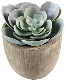 GRIRIW Künstliche Sukkulenten Pflanzen Im Grauen Topf Dekorative Fake Pflanzen Für Büro Wohnzimmer Und Schlafzimmer Für Jeden