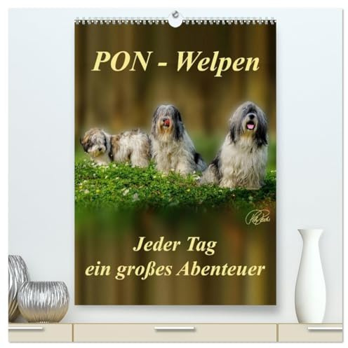 PON-Welpen - jeder Tag ein großes Abenteuer/Planer (hochwertiger Premium Wandkalender 2026 DIN A2 hoch), Kunstdruck in Hochglanz: PON-Welpen - ... mit unstillbarem Spieltrieb (CALVENDO Tiere)
