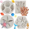 MYPRACS Set di 4 stampi in silicone a tema marino, conchiglie, conchiglie, stelle marine, corallo, cavalluccio marino, coda di sirena, decorazione per torte, topper per cupcake, caramelle, cioccolato,