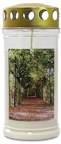 Jeka Kerzen GmbH 20er Set Gedenkkerzen Grablichter Baum-Allee ca. 75 x 170 mm, extralange Brenndauer, Dauerbrenner 70-90 h, Grabkerze, Grableuchte, Grablaterne, Grabschmuck, Trauerlicht
