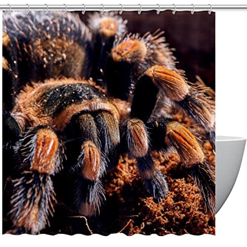 Tenda da doccia personalizzata Ragno Tarantola al ginocchio rosso messicano