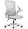 naspaluro Office Chair Ergonomic Desk with 90° Flip-up Armrest Lumbar Support, Height Adjustable Chair, Executive Swivel Computer Padded Seat Cushion for Home/Office-Grey, 50 x 50 x 92 CM (M022)