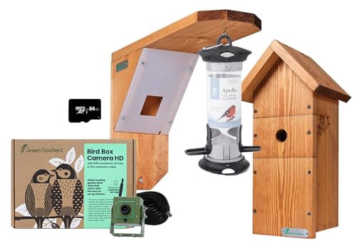 Green Feathers Bird Box and Bird Feeder Garden Wifi Camera Kit