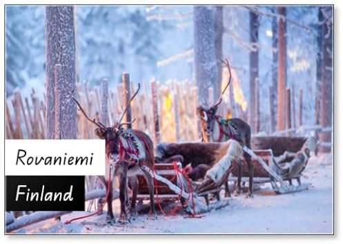 Rentier mit Schlitten im Winterwald in Rovaniemi, Lappland, Finnland Kühlschrankmagnet