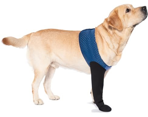 COODEO Calzini Protettivi per Cani Antileccatura, Copri Zampe con Suola Antiscivolo per Protezione Ferite e Guarigione, Scarpette Impermeabili (Blu, XL_Destra)