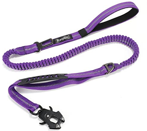 Raipult stoßabsorbierende, taktische Hundeleine, ca.1,2 - 1,8 m, robuste Bungee-Leine, keine Ziehen, elastische Trainingsleine mit Auto-Sicherheitsgurt und 2 Griffen für mittelgroße Hunde, lila