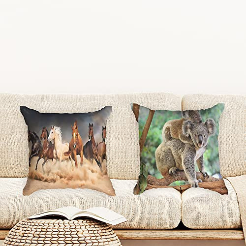 Ulticool - Kissenhülle - Pferde Sand Natur Tiere Koala - Set von 2 Motiven – 45 cm x 45 cm - Dekokissen ohne Füllung - Kissenbezug Zubehör für Sofa/Bett - Braun Grün Beige