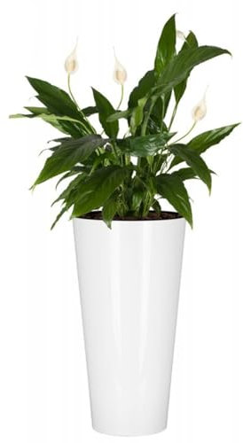 B2C Planter Plant Pot Flowerpot White Glossy Tubus Outdoor Garden Balcony Indoor Modern Tall Shiny Modern (H 38.1cm x D 20cm)