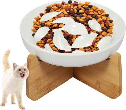 Gamelle Anti Glouton Chat Ceramique avec Bambou Support Gamelle SuréLevéE pour Chat Anti-Vomissement Incliné à 15° Bol pour Chaton Manger Lentement