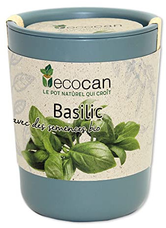 Feel Green Ecocan, Basilic Certifiées Bio, Idée Cadeau (100% Biodégradable), Grow-Your-Own/Kit Prêt-à-Pousser, Le Pot Écologique Qui Croît 9 x 7 cm, Produit en Autriche