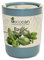 Feel Green Ecocan, Basilic Certifiées Bio, Idée Cadeau (100% Biodégradable), Grow-Your-Own/Kit Prêt-à-Pousser, Le Pot Écologique Qui Croît 9 x 7 cm, Produit en Autriche
