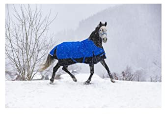 Equithème TYREX 1200D 'Aisance' High Neck 50g - Blau/Schwarz