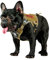 OneTigris Hundegeschirr, FIRE WATCHER Taktische Geschirr Sicherheitsgeschirr Hunde Hundeweste mit 1 Griffe und 2 D-Ring 1000D Nylon (XXS, Mehrfarbig)