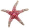 YAZILIND Broche Couleur Strass Sea Horse Étoile De Mer Poissons Animal Poitrine Boucle Pin Femmes Corsage Vêtements Accessoires Parti Rose