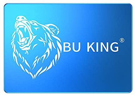BU KING SSD 240GB Internal SATA3 2.5 Inch Solid State Drive Up To 400M/S Blue Bear Head/Blue