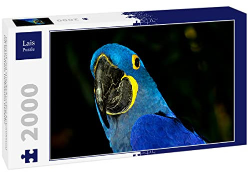 Lais Puzzle Hyazinth-Ara (Anodorhynchus hyacinthinus) mit lebhaftem, tiefblauem Gefieder 2000 Teile