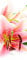 Bilderdepot24 Türtapete Lilie III 90 x 200 cm - einteilig Türaufkleber Türfolie Türposter - Blume Blüte Pflanze Blatt Garten Natur