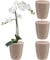 Santino 4er-Set Selbstbewässernder Topf mit Dochtsystem und Wasserstandsanzeige für den Innenbereich, Orchideentopf D 16.5cm. (Sand - 3,3L)