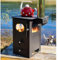 DWD® Daintree Wood Pellet Stove, 21kw Heat Output, 3 Sided Glass Viewing, Air Control System,Gravity Feeding Hopper Holds 5.5kg Fuel, 100mm S/Steel Flue, Portable Cooking Top 42x56x58cm OUTDOOR USE