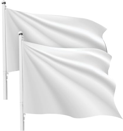 PAYFULLY Lot de 2 drapeaux blancs à personnaliser soi-même, 90 x 150 cm, avec œillets en métal, polyester à peindre et écrire