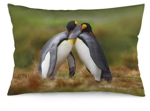 NIBABA Kissenbezüge, niedliches Pinguin-Paar, küssen sich gegenseitig, dekorative Kissenbezüge, 40 x 60 cm, weiches Polyester, quadratisch, 1 Stück