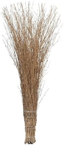 Agrarflora Bambusbesen - Stallbesen aus Bambusreisig - handgefertigter Reisigbesen mit Kunststoff-Stielaufnahme - Strauchbesen, Hexenbesen, Reiserbesen - Kehrbesen für Haus & Garten - 1 Stück
