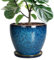 EPFamily Jardinière, Pot de fleurs rond en céramique de 25,4 cm avec trou de drainage et soucoupe, Pot Plante Exterieur pour maison, terrasse, bureau (bleu)