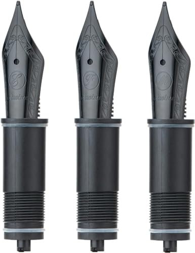 Asvine 3 PCS Fountain Pen Replaced Nibs, 6 Black EF/F/M Nib V169, P20, P30 and V126